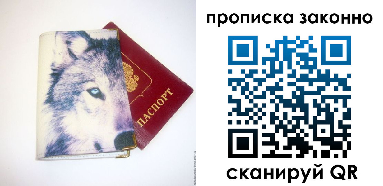 временная регистрация поиск в Камчатском крае